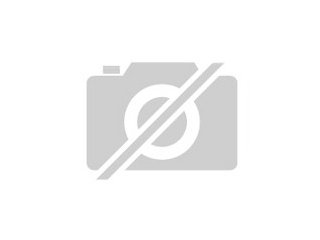 Suche dringend älteres Chinchilla-Böckchen